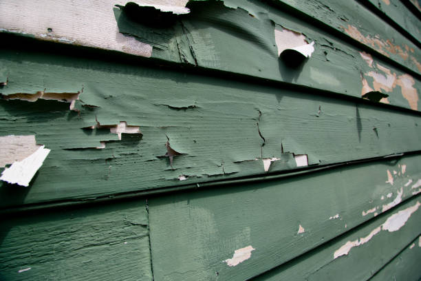Best Fiber Cement Siding Installation  in Central City, NE