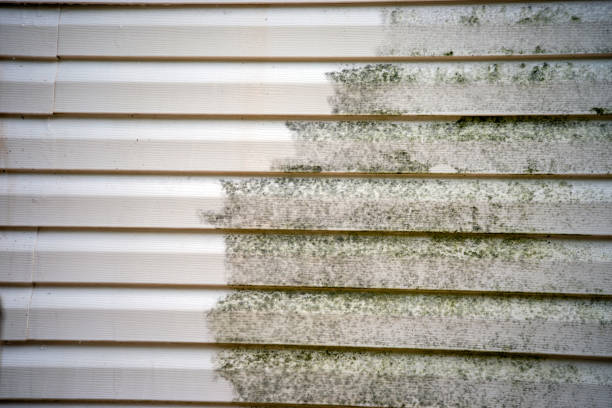 Siding for New Construction in Central City, NE